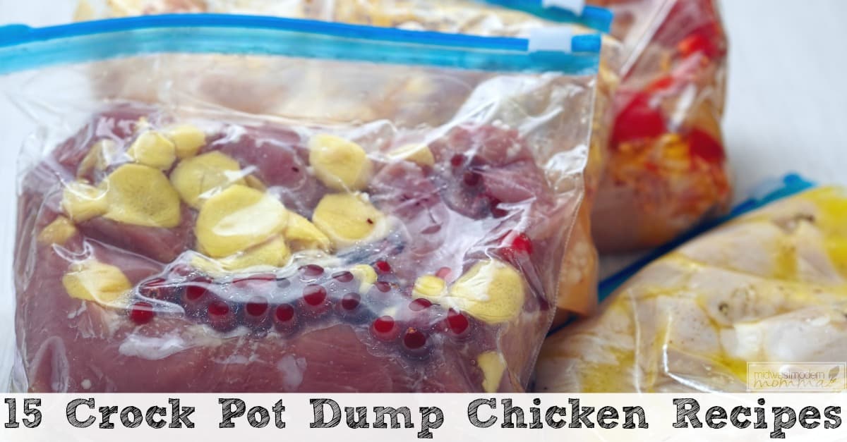 Slow Cooker Dump Chicken Recipes